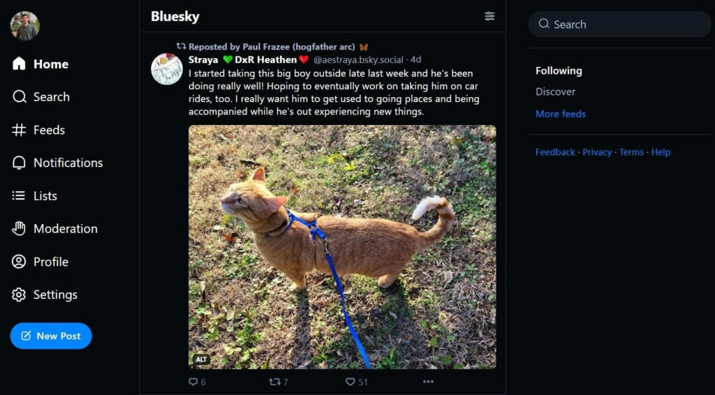 Bluesky vs. Mastodon - Bluesky, like Classic Twitter?