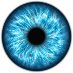 Worldcoin depends on iris-scanning technology.